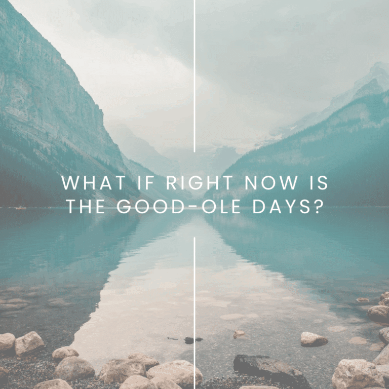 What If Right Now Is The Good-Ole Days? Simply with Julia